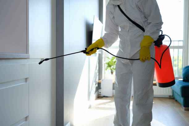 Best Home Mold Removal  in Sinton, TX