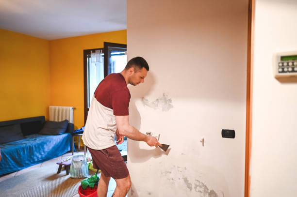 Best Same-Day Mold Removal  in Sinton, TX